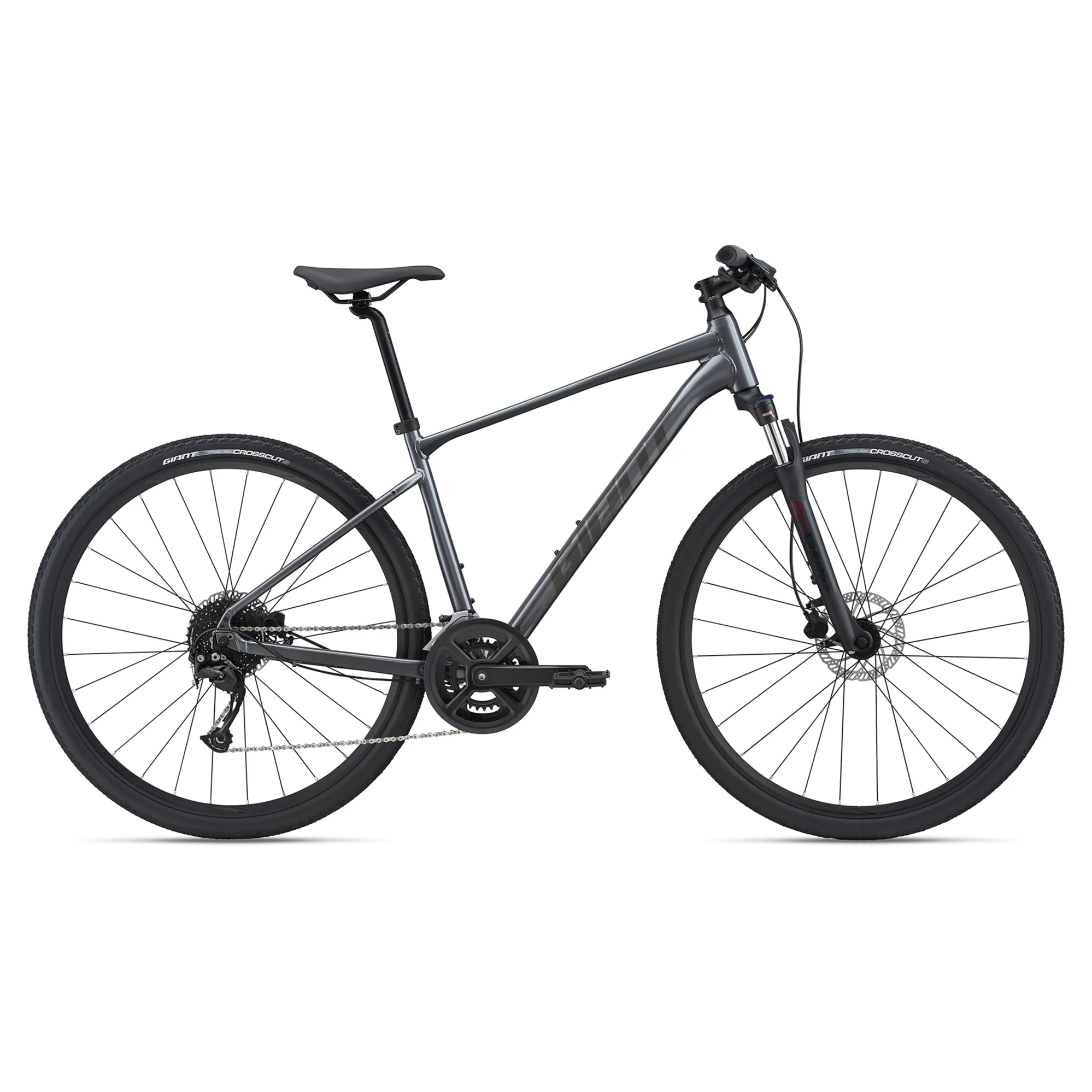 2021 Giant Roam 2 Disc Hybrid Bike in Grey 2021 Giant Roam 2 Disc Hybrid Bike in Grey