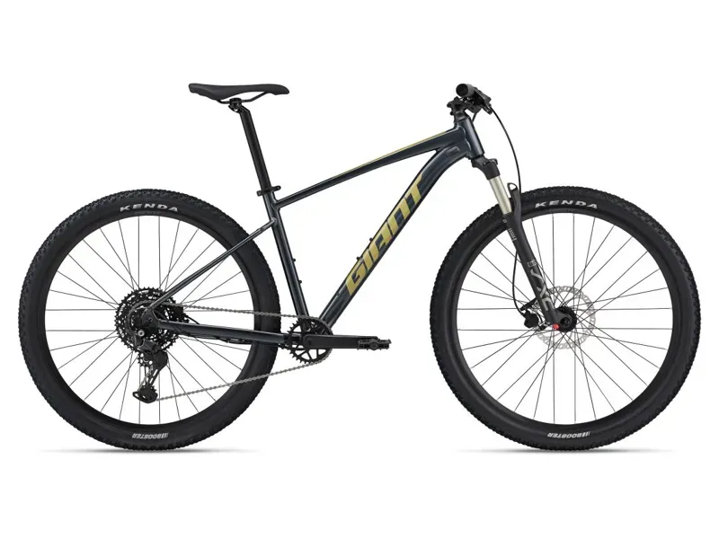 Giant talon 29 1 mountain bike 2021 deals