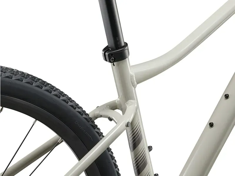 Liv Rove 3 Gravel Bike in Pulp Gray-4