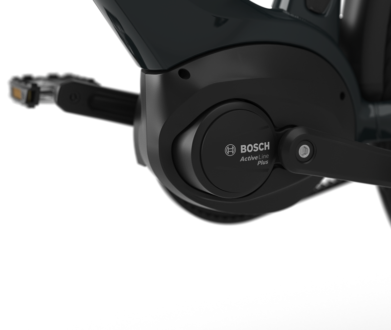 ULTIMATE C8+HMB L53 Pine green S8 low step  625wh-3