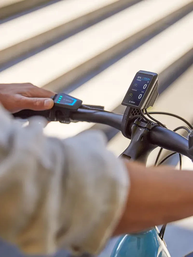 ULTIMATE C8+HMB L53 Pine green S8 low step  625wh-1