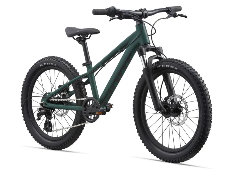Giant STP 20 Kid s Mountain Bike in Trekking Green