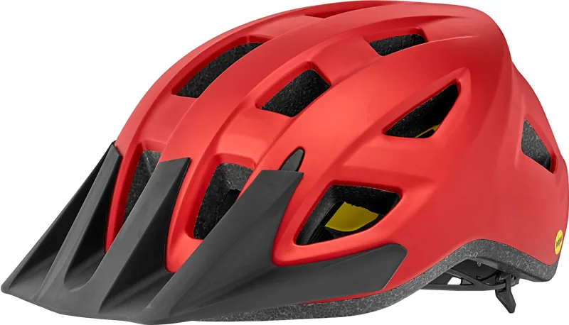 Giant Path Arx Mips S-M 49- 57cm Grenadine s-m Helmet