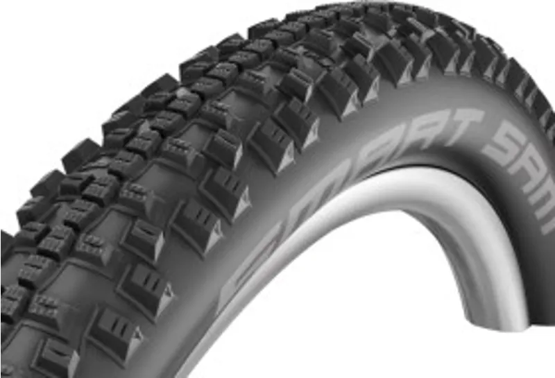 Schwalbe SMART SAM Performance