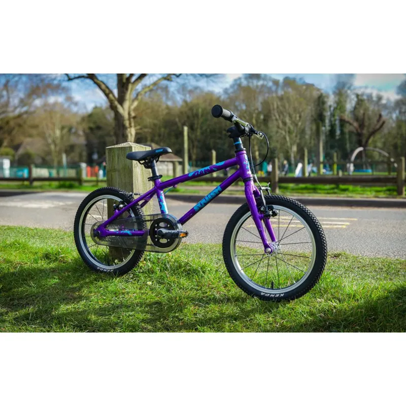 SQUISH 16/9 PURPLE-1